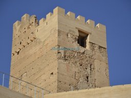 Castillo de Alhama 2008